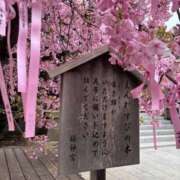 ヒメ日記 2025/03/05 23:37 投稿 いつき モアグループ小山人妻花壇