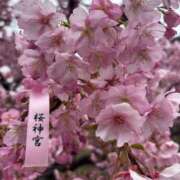 ヒメ日記 2025/03/06 20:45 投稿 いつき モアグループ小山人妻花壇