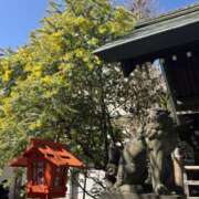 ヒメ日記 2025/03/14 10:23 投稿 いつき モアグループ小山人妻花壇