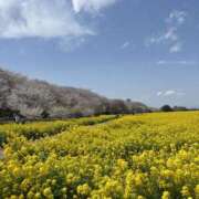 ヒメ日記 2025/04/09 23:08 投稿 いつき モアグループ小山人妻花壇
