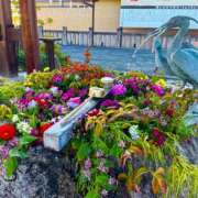 ヒメ日記 2025/10/31 22:05 投稿 いつき モアグループ小山人妻花壇