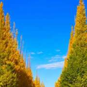 ヒメ日記 2025/11/22 09:25 投稿 いつき モアグループ小山人妻花壇