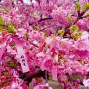 ヒメ日記 2026/01/14 00:58 投稿 いつき モアグループ小山人妻花壇