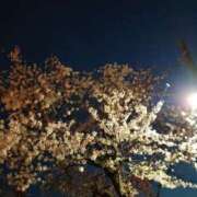 ヒメ日記 2026/04/04 18:53 投稿 真紀 優 こあくまな熟女たち 西川口店(KOAKUMAグループ)