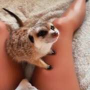 ヒメ日記 2026/03/14 11:38 投稿 冴木　なみ 人妻の秘密