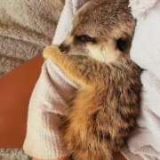 ヒメ日記 2026/03/26 15:38 投稿 冴木　なみ 人妻の秘密