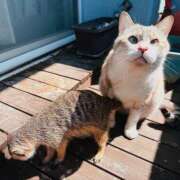 ヒメ日記 2026/03/29 18:22 投稿 冴木　なみ 人妻の秘密