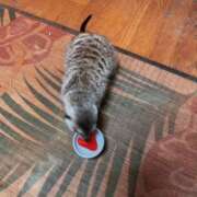 ヒメ日記 2026/03/31 14:12 投稿 冴木　なみ 人妻の秘密