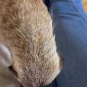 ヒメ日記 2026/04/05 10:06 投稿 冴木　なみ 人妻の秘密