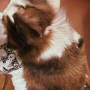 ヒメ日記 2026/04/18 18:49 投稿 冴木　なみ 人妻の秘密