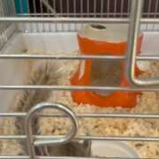 ヒメ日記 2026/04/20 22:24 投稿 冴木　なみ 人妻の秘密