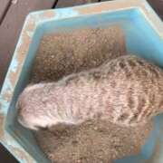 ヒメ日記 2026/05/08 13:07 投稿 冴木　なみ 人妻の秘密
