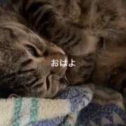 ヒメ日記 2026/08/13 20:44 投稿 ゆきの 丸妻 新横浜店
