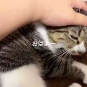 ヒメ日記 2026/08/14 14:48 投稿 ゆきの 丸妻 新横浜店