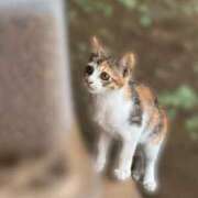 ヒメ日記 2026/09/22 10:26 投稿 ゆきの 丸妻 新横浜店