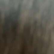 ヒメ日記 2025/02/22 20:34 投稿 りの 渋谷じゃっくす