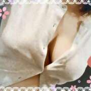 ヒメ日記 2025/03/30 12:58 投稿 百田 真由美 30代40代50代と遊ぶなら博多人妻専科24時