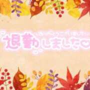 ヒメ日記 2024/09/08 03:26 投稿 すみれ 茨城龍ヶ崎取手ちゃんこ