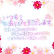 ヒメ日記 2024/09/25 03:06 投稿 すみれ 茨城龍ヶ崎取手ちゃんこ