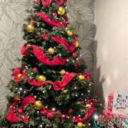 ヒメ日記 2024/12/10 08:16 投稿 すみれ 茨城龍ヶ崎取手ちゃんこ