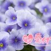 ヒメ日記 2024/12/12 00:56 投稿 すみれ 茨城龍ヶ崎取手ちゃんこ