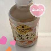 ヒメ日記 2024/12/15 10:06 投稿 すみれ 茨城龍ヶ崎取手ちゃんこ