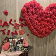 ヒメ日記 2025/02/12 01:16 投稿 すみれ 茨城龍ヶ崎取手ちゃんこ