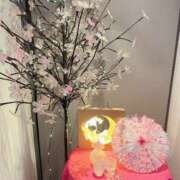 ヒメ日記 2025/03/13 13:56 投稿 すみれ 茨城龍ヶ崎取手ちゃんこ