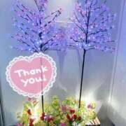 ヒメ日記 2025/03/26 22:16 投稿 すみれ 茨城龍ヶ崎取手ちゃんこ