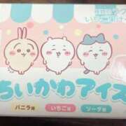ヒメ日記 2025/03/28 03:36 投稿 すみれ 茨城龍ヶ崎取手ちゃんこ