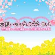 ヒメ日記 2025/04/21 07:56 投稿 すみれ 茨城龍ヶ崎取手ちゃんこ