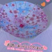ヒメ日記 2025/04/22 00:46 投稿 すみれ 茨城龍ヶ崎取手ちゃんこ