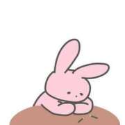 ヒメ日記 2025/04/28 03:06 投稿 すみれ 茨城龍ヶ崎取手ちゃんこ