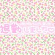 ヒメ日記 2025/04/29 03:06 投稿 すみれ 茨城龍ヶ崎取手ちゃんこ