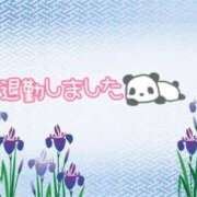 ヒメ日記 2025/05/06 01:56 投稿 すみれ 茨城龍ヶ崎取手ちゃんこ