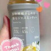 ヒメ日記 2025/06/03 12:11 投稿 すみれ 茨城龍ヶ崎取手ちゃんこ