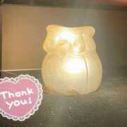 ヒメ日記 2025/06/03 12:26 投稿 すみれ 茨城龍ヶ崎取手ちゃんこ