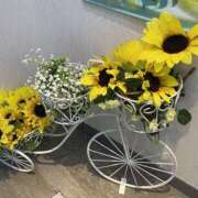 ヒメ日記 2025/08/01 13:06 投稿 すみれ 茨城龍ヶ崎取手ちゃんこ