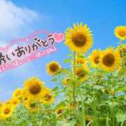 ヒメ日記 2025/08/14 01:06 投稿 すみれ 茨城龍ヶ崎取手ちゃんこ