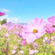 ヒメ日記 2025/10/08 22:36 投稿 すみれ 茨城龍ヶ崎取手ちゃんこ