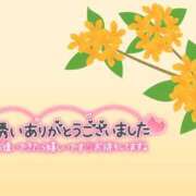 ヒメ日記 2025/10/31 04:16 投稿 すみれ 茨城龍ヶ崎取手ちゃんこ