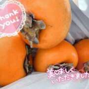 ヒメ日記 2025/11/13 06:06 投稿 すみれ 茨城龍ヶ崎取手ちゃんこ