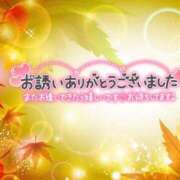 ヒメ日記 2025/11/13 06:26 投稿 すみれ 茨城龍ヶ崎取手ちゃんこ