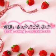 ヒメ日記 2026/04/07 10:26 投稿 すみれ 茨城龍ヶ崎取手ちゃんこ