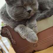 ヒメ日記 2025/03/24 16:14 投稿 えれな♡超爆乳「Ｋ」カップ ラヴァーズ