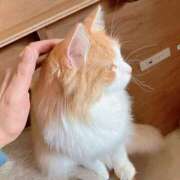 ヒメ日記 2025/02/22 21:31 投稿 らら #オナクラなう 広島店