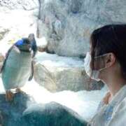 ヒメ日記 2026/08/21 13:43 投稿 らら #オナクラなう 広島店