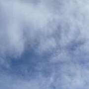 ヒメ日記 2025/10/10 08:06 投稿 れもん ケープエンジェル