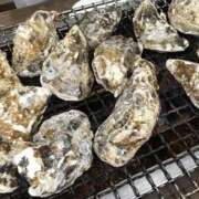 ヒメ日記 2026/01/21 16:05 投稿 ねね 中洲秘密倶楽部