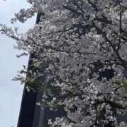 ねね 一瞬 中洲秘密倶楽部